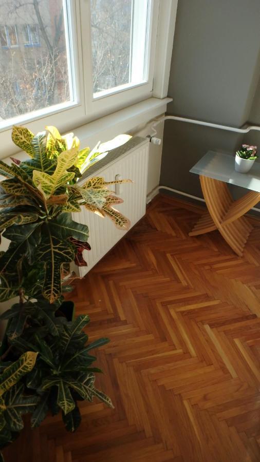 Apartment Buda Center *